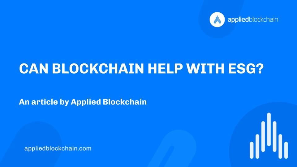 No alt text provided for this image